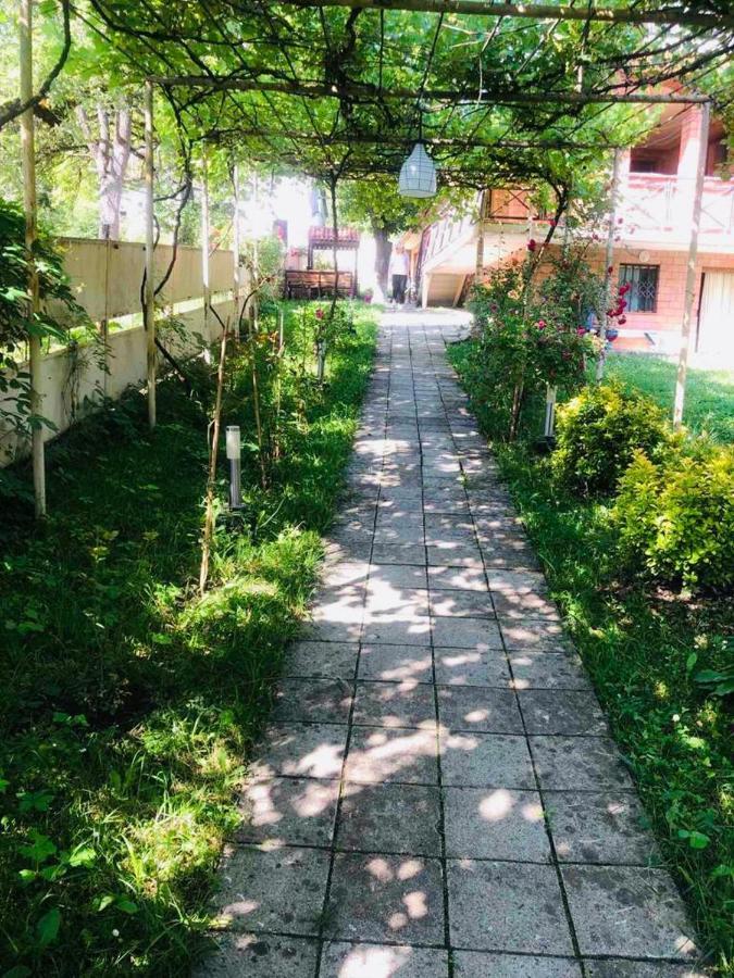 Mta Otel Tsemi Dış mekan fotoğraf