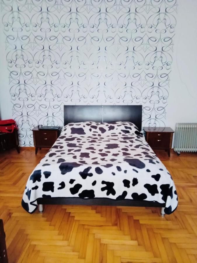 Mta Otel Tsemi Dış mekan fotoğraf